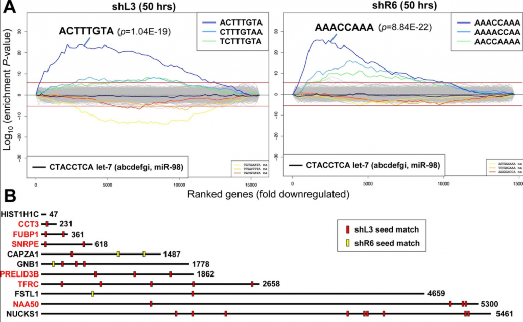 Sylamer plots and seed matches to survival genes showing siRNA off-target effects