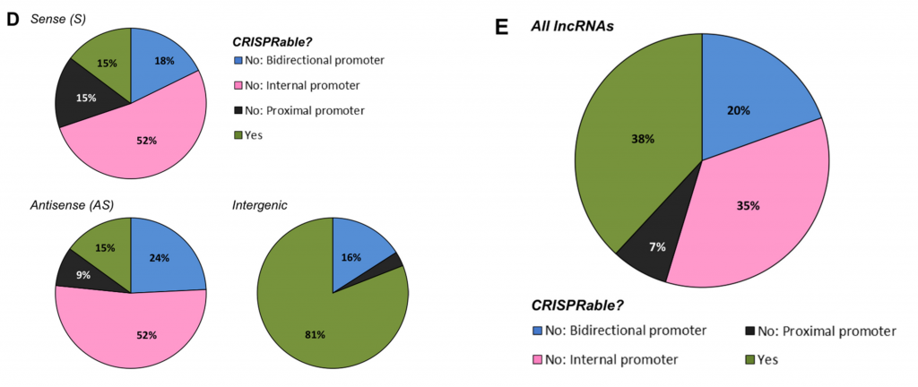 CRISPRability of lncRNAs