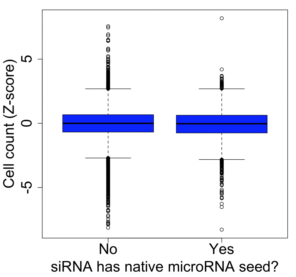 Is it important to avoid microRNA binding sites during siRNA design?