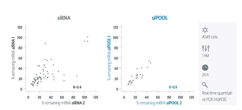 siRNA vs siPOOL rtqPCR knock-down efficiency